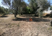 Sòl urbà en venda a la España, Castelló, ref.: TR123028 foto