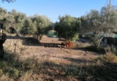 Sòl urbà en venda a la España, Castelló, ref.: TR123028 foto