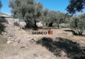 Sòl urbà en venda a la España, Castelló, ref.: TR123028 foto