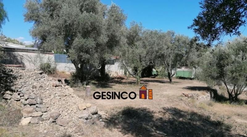 València - Játiva - 2674m2
