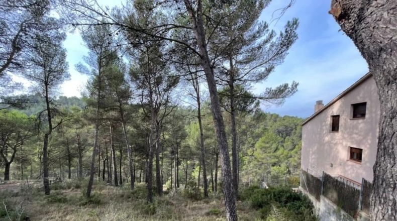 Barcelona - Castellolí - 965m2