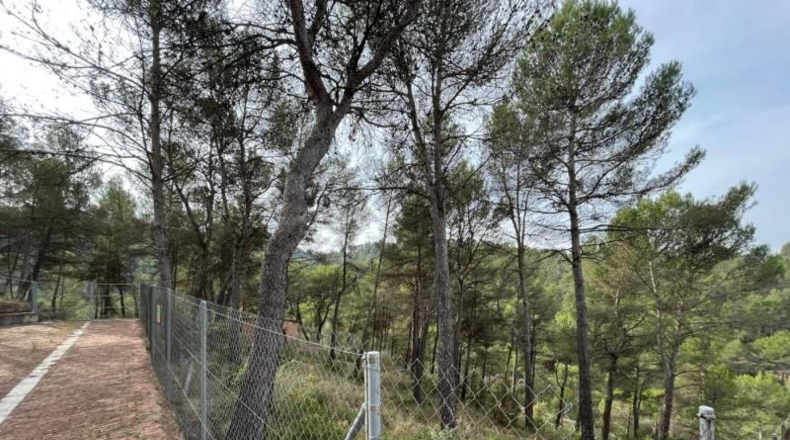 Barcelona - Castellolí - 965m2
