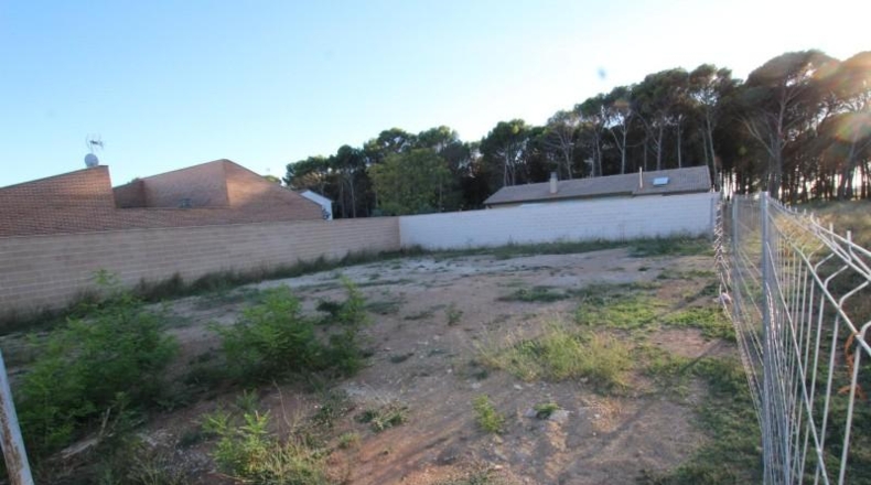 Zaragoza - Ejea de los Caballeros - 440m2