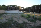 Suelo urbano en venta en la España, Ejea de los Caballeros, ref: TR124004 foto