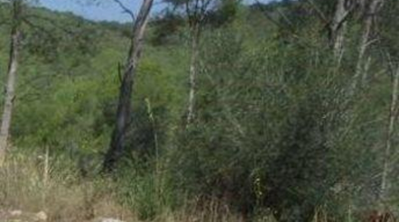 Barcelona - Olivella - 917m2