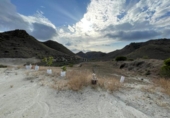 Non-developable land for sale on España, Mazarrón, ref: TR306634 photo