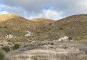 Non-developable land for sale on España, Mazarrón, ref: TR306634 photo