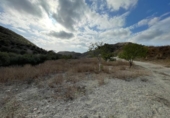 Non-developable land for sale on España, Mazarrón, ref: TR306634 photo