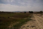 Terreno no urbanizable en venta en la España, Pinoso, ref: TR236952 foto