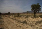 Terreno no urbanizable en venta en la España, Pinoso, ref: TR236952 foto