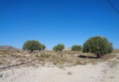 Non-developable land for sale on España, Molina de Segura, ref: TR120178 photo