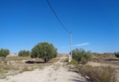 Non-developable land for sale on España, Molina de Segura, ref: TR120178 photo
