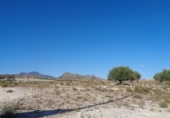 Non-developable land for sale on España, Molina de Segura, ref: TR120178 photo