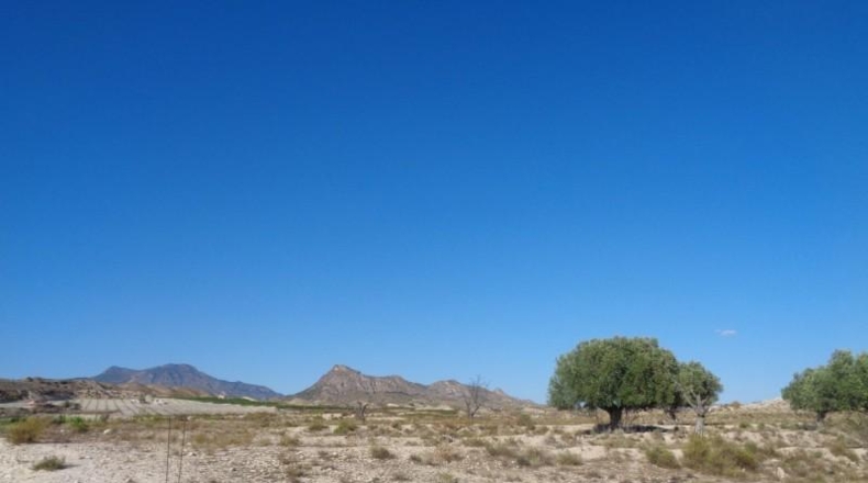 Múrcia - Molina de Segura - 6600m2