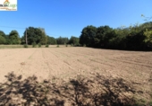 Rural estate for sale on España, Begonte, ref: TR299146 photo