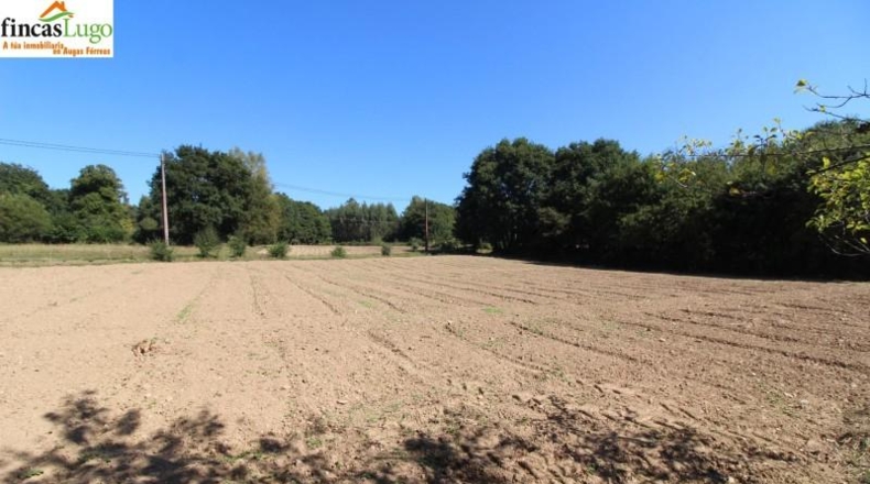Lugo - Begonte - 3300m2