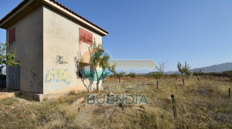 Murcia - Фуэнте Аламо де Мурсия - 4000m2