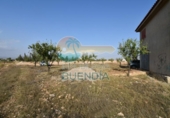 Casa de camp amb terreny en venda a la España, Fuente Álamo, ref.: TR357786 foto