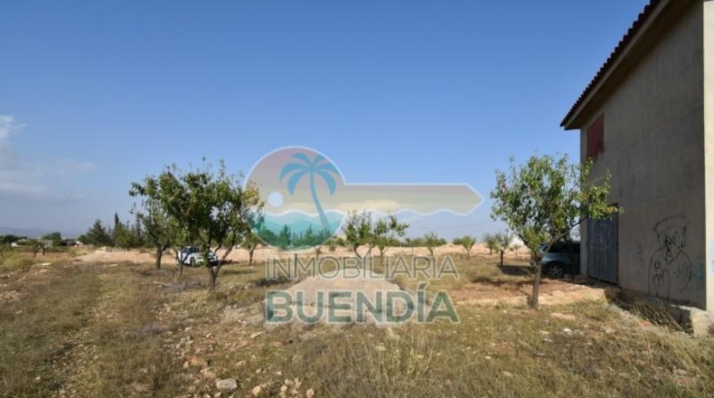 Murcia - Фуэнте Аламо де Мурсия - 4000m2