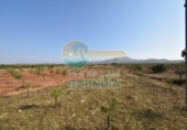 Casa de camp amb terreny en venda a la España, Fuente Álamo, ref.: TR357786 foto
