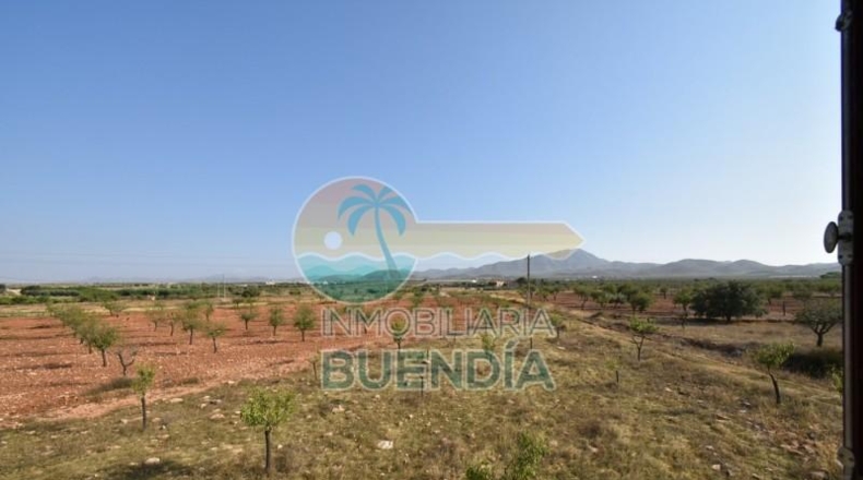 Murcia - Фуэнте Аламо де Мурсия - 4000m2