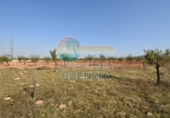 Casa de camp amb terreny en venda a la España, Fuente Álamo, ref.: TR357786 foto