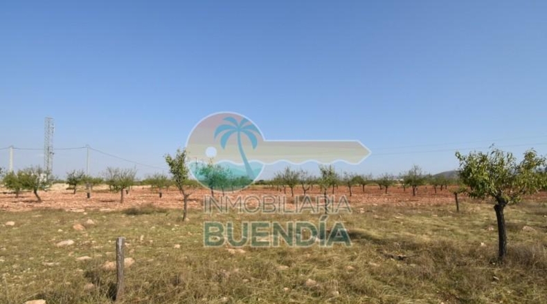 Murcia - Фуэнте Аламо де Мурсия - 4000m2