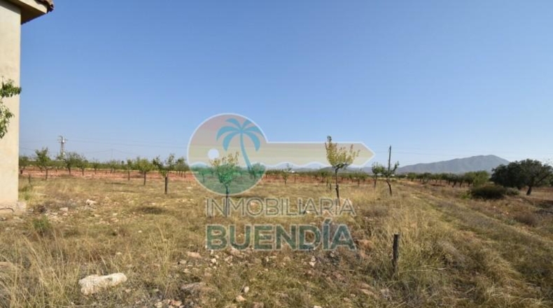 Murcia - Фуэнте Аламо де Мурсия - 4000m2
