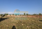 Casa de camp amb terreny en venda a la España, Fuente Álamo, ref.: TR357786 foto