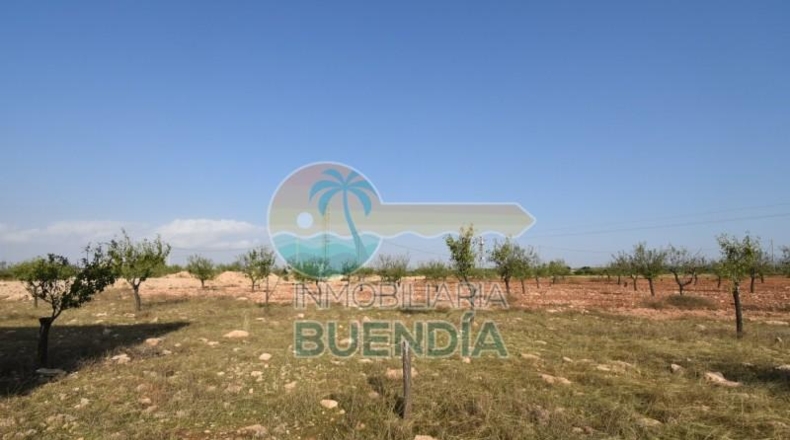 Murcia - Фуэнте Аламо де Мурсия - 4000m2