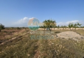 Casa de camp amb terreny en venda a la España, Fuente Álamo, ref.: TR357786 foto