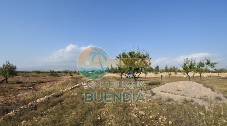 Murcia - Фуэнте Аламо де Мурсия - 4000m2