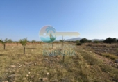Casa de camp amb terreny en venda a la España, Fuente Álamo, ref.: TR357786 foto