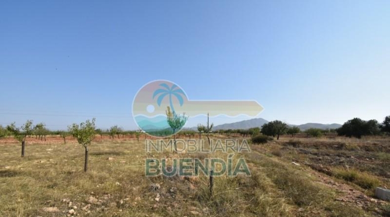 Murcia - Фуэнте Аламо де Мурсия - 4000m2