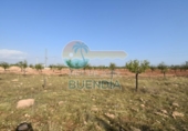 Casa de camp amb terreny en venda a la España, Fuente Álamo, ref.: TR357786 foto