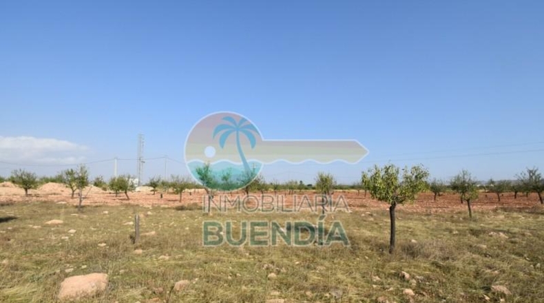 Murcia - Фуэнте Аламо де Мурсия - 4000m2