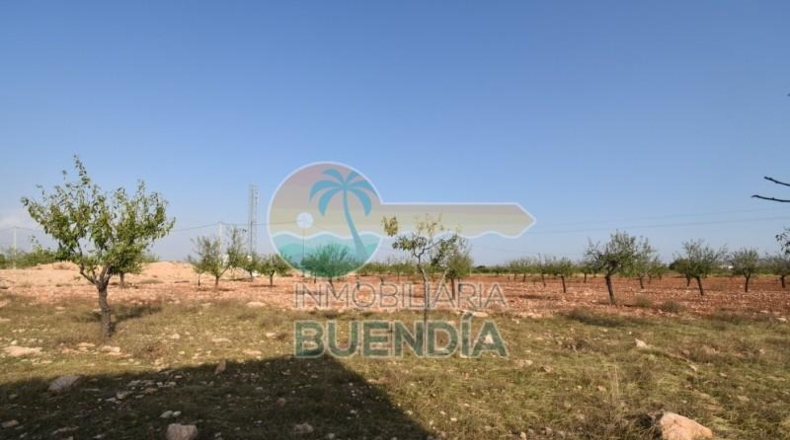 Murcia - Фуэнте Аламо де Мурсия - 4000m2