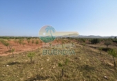 Casa de camp amb terreny en venda a la España, Fuente Álamo, ref.: TR357786 foto
