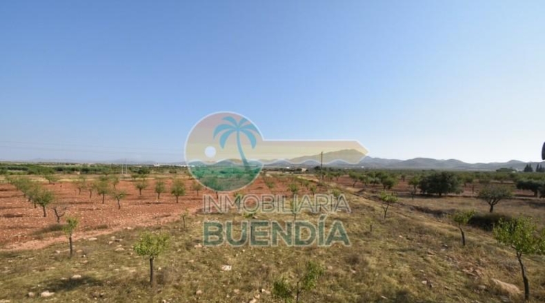 Murcia - Фуэнте Аламо де Мурсия - 4000m2