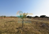 Casa de camp amb terreny en venda a la España, Fuente Álamo, ref.: TR357786 foto
