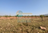 Casa de camp amb terreny en venda a la España, Fuente Álamo, ref.: TR357786 foto