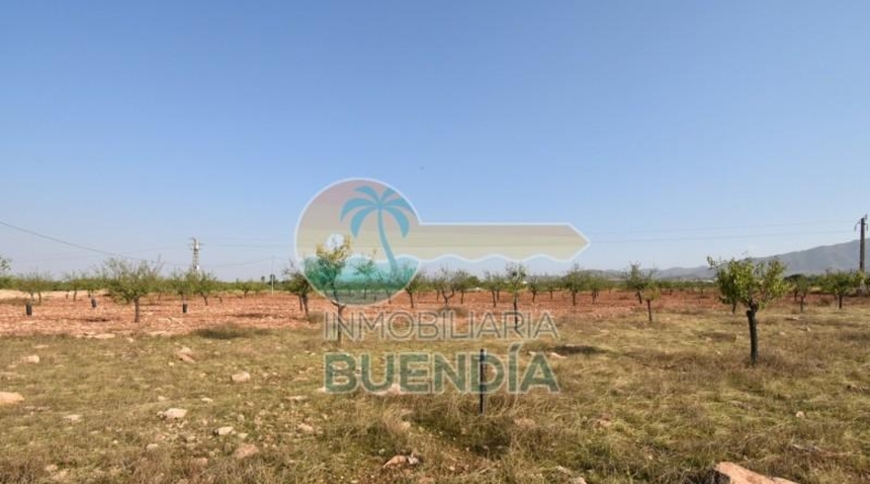 Murcia - Фуэнте Аламо де Мурсия - 4000m2