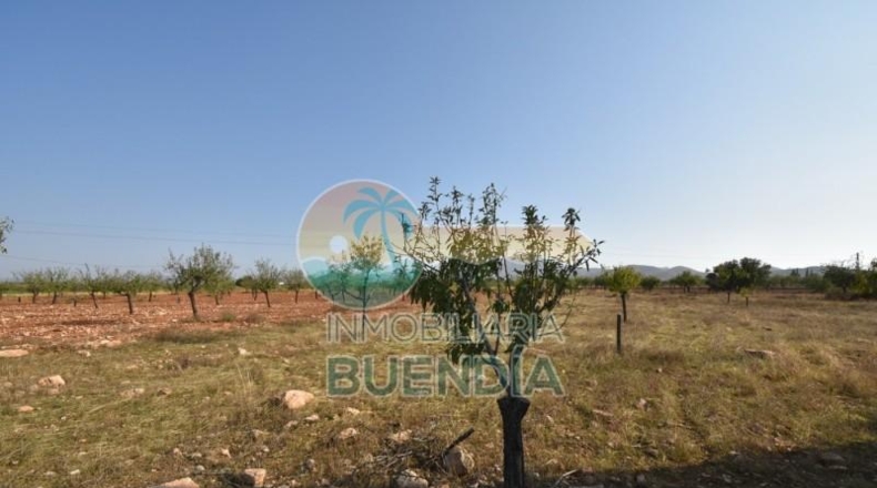 Murcia - Фуэнте Аламо де Мурсия - 4000m2