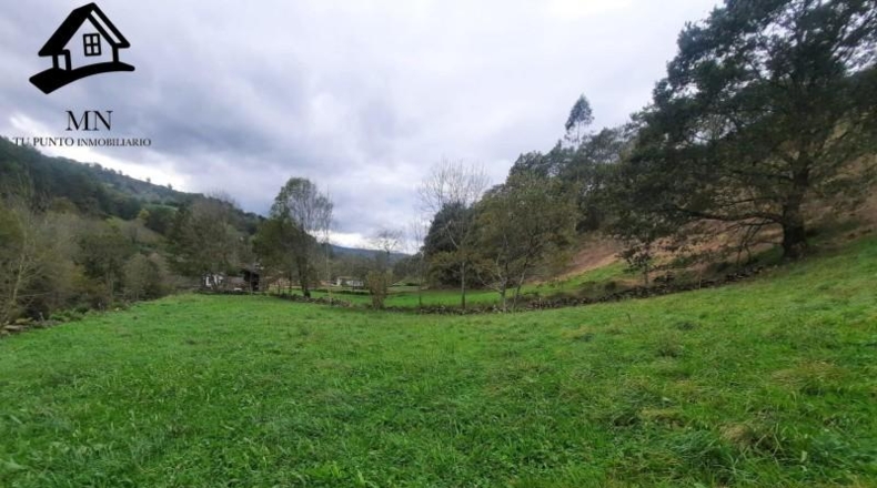 Cantabria - Selaya - 2627m2