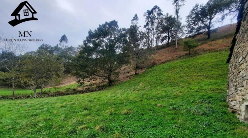 Cantabria - Selaya - 2627m2