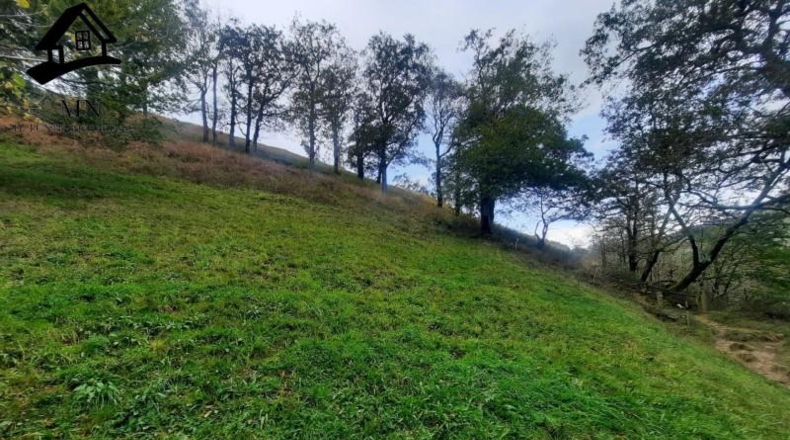 Cantabria - Selaya - 2627m2