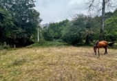 Non-developable land for sale on España, Cangas de Onís, ref: TR364671 photo