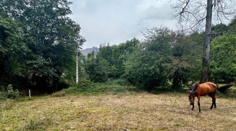 Asturias - Cangas de Onís - 830m2