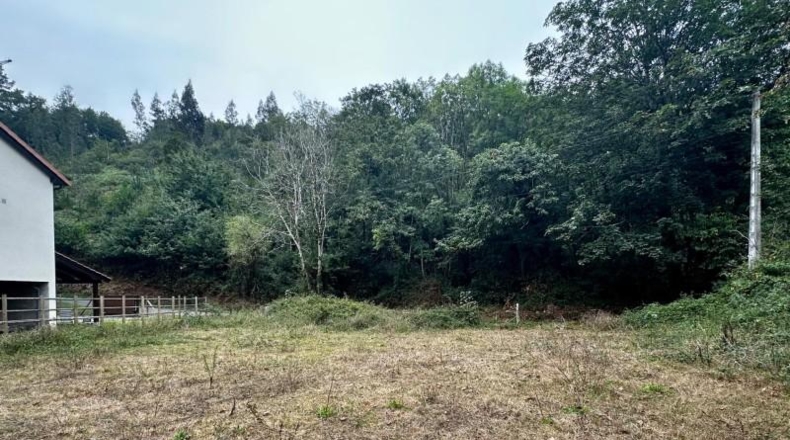 Asturias - Cangas de Onís - 830m2