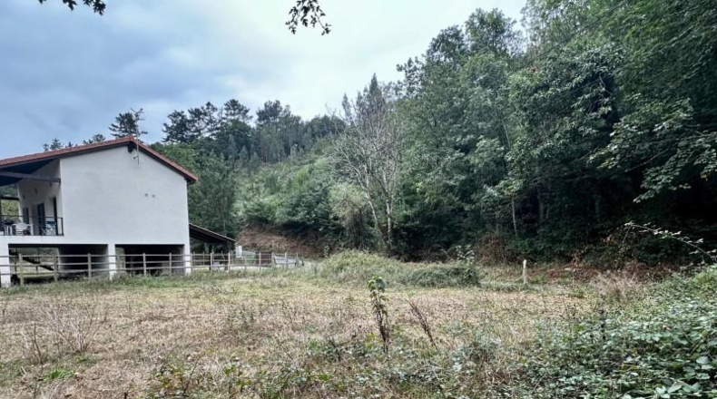 Asturias - Cangas de Onís - 830m2